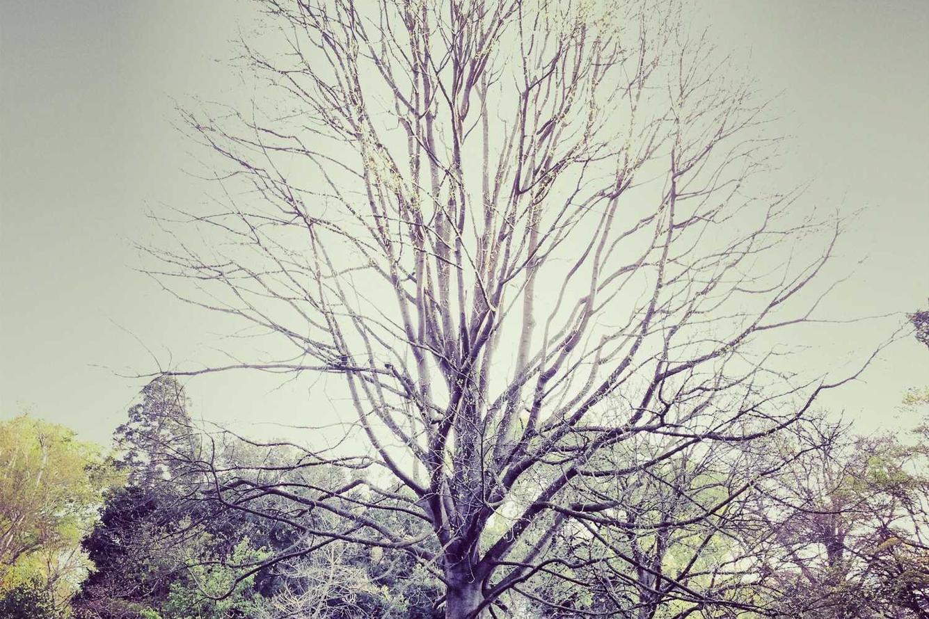 Cumque perferendis et accusamus ut